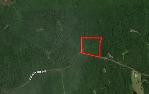 10-Acre Hunting Land