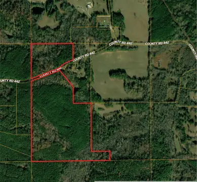 Recreational Land with Select-Cut Timber