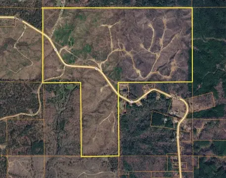 Hunting Land with Road Frontage
