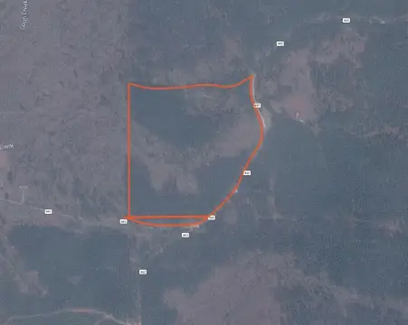 Hunting Land with Select-Cut Timber