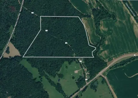 52-Acre Hunting Land