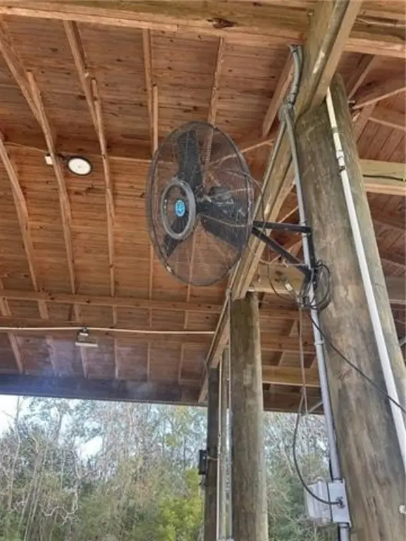 Picture 13