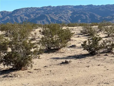 5 Acre Parcel in 29 Palms