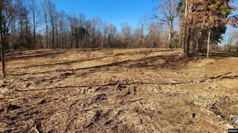 Dresden, TN Building Lots