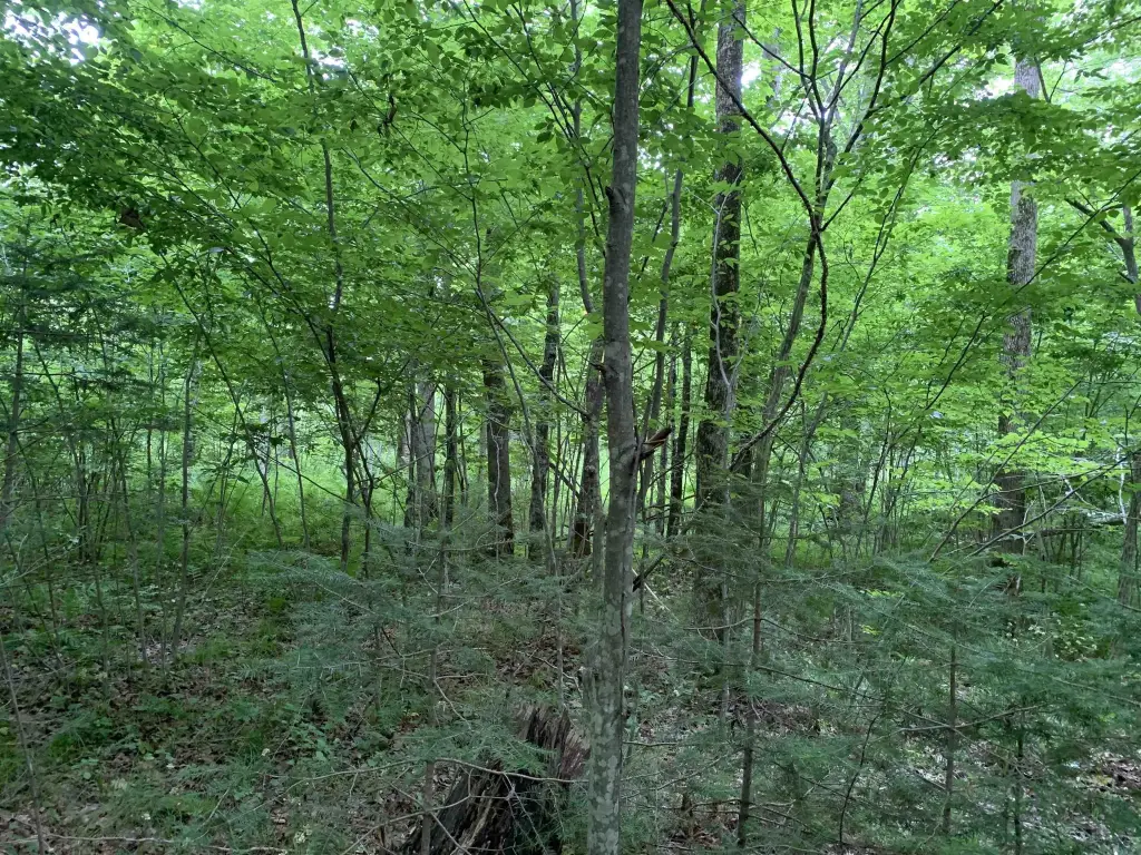 Picture 9