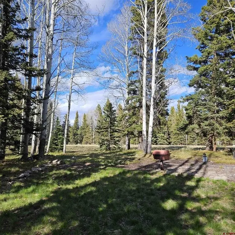 Picture 20