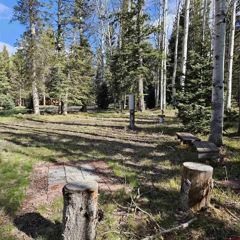 Picture 21