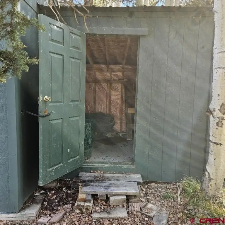 Picture 8