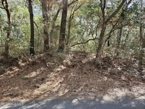 Golf Course Homesite on Island