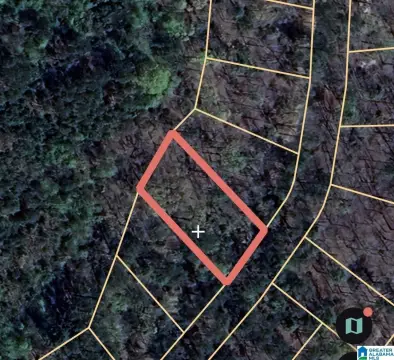 Alpine, AL Treed Lot