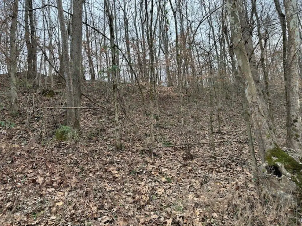 Picture 11