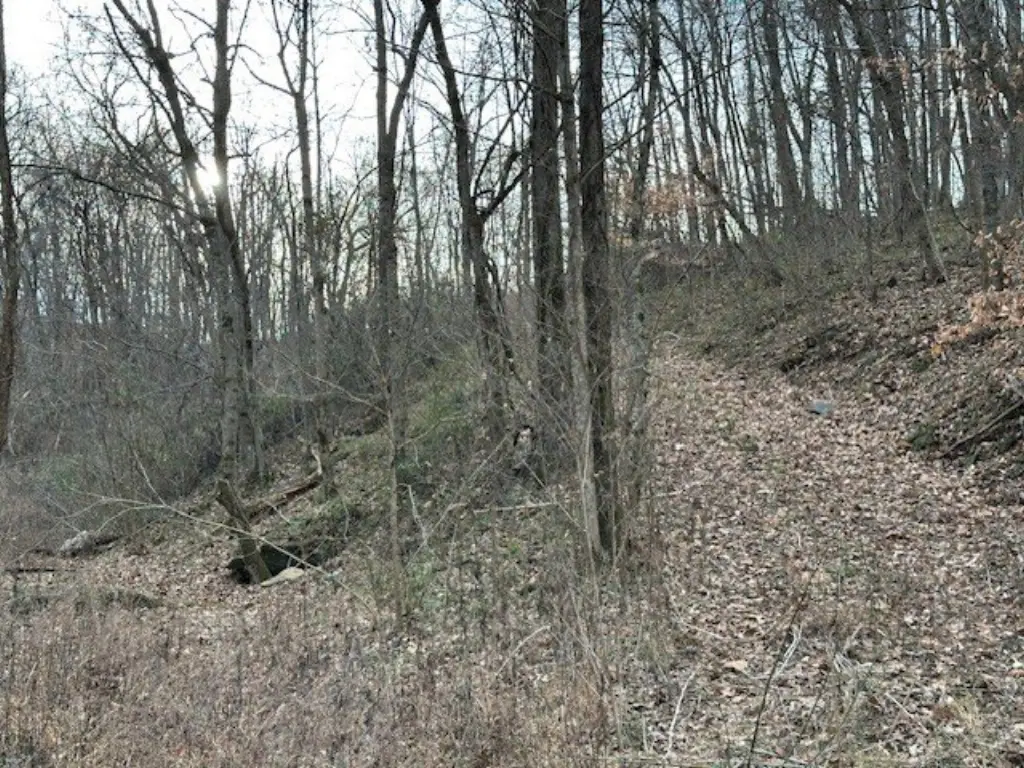 Picture 10