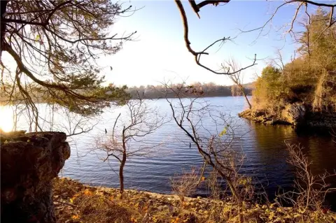 66 Acres Near Table Rock