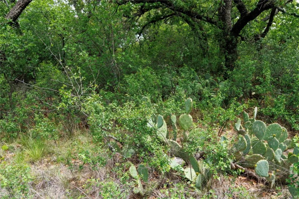 Picture 27
