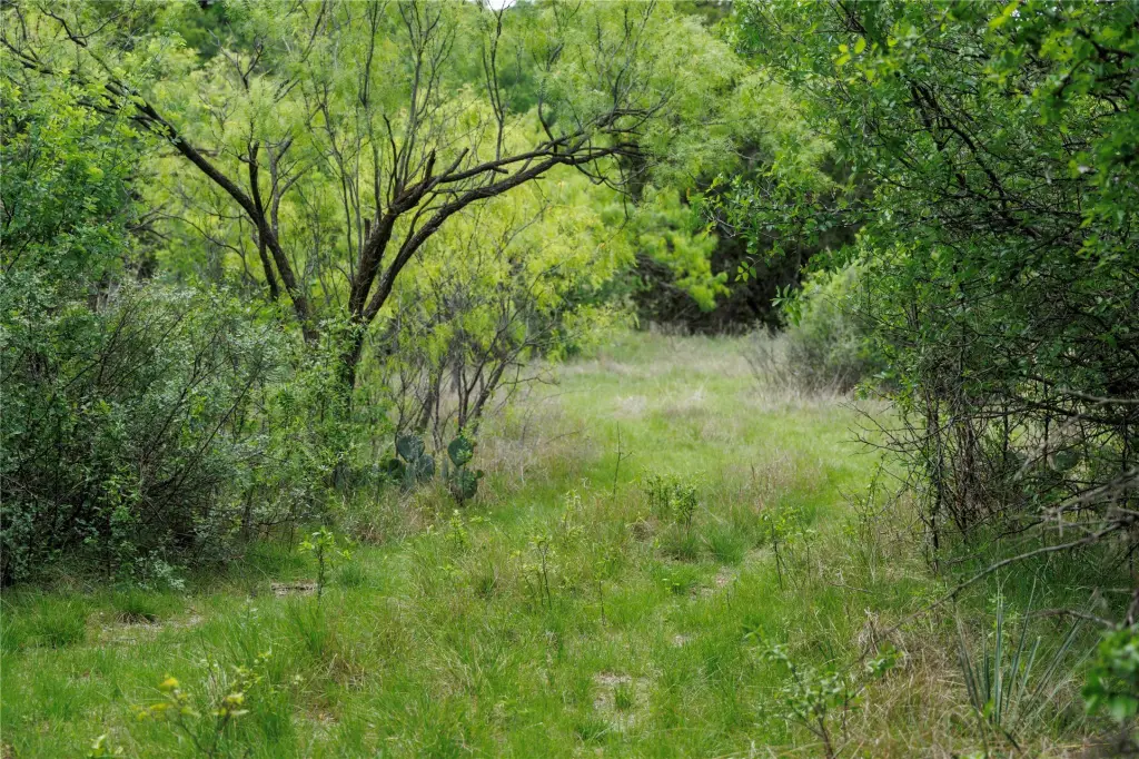 Picture 18