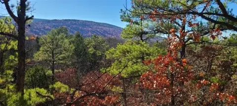 Albion, OK - 110 Acres