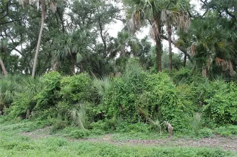 Residential Land in Port Charlotte