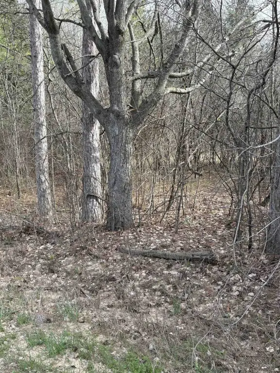 Picture 3