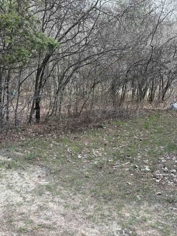 Picture 4