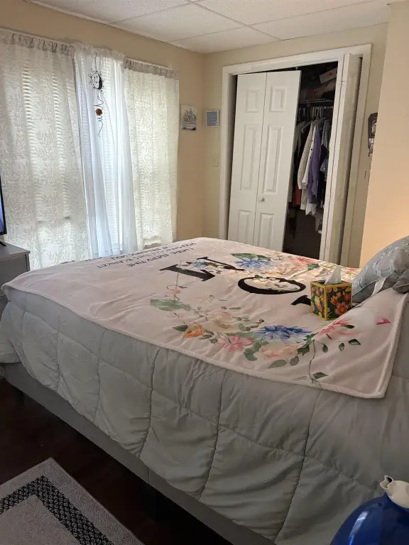 Picture 15