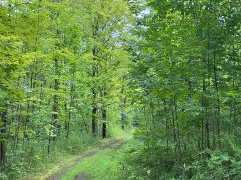 Erie Industrial Land For Sale