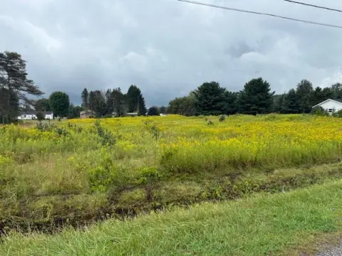 Wattsburg Boro Land For Sale