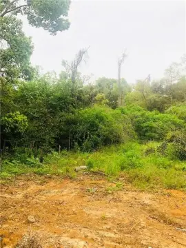 Residential Land Near Fairhope Amenities