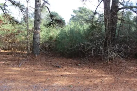 Recreational Land in Captains Cove