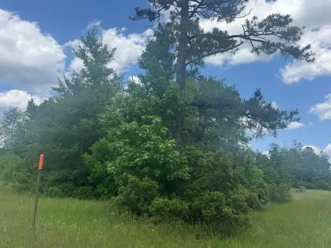 Residential Land in Kirbyville, TX