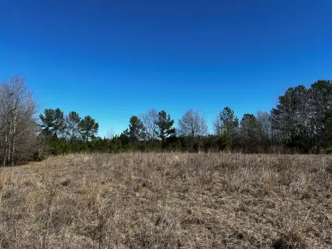 Unrestricted Land in Longbranch, Texas