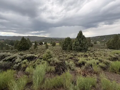 Treed Residential Lot Near Highway