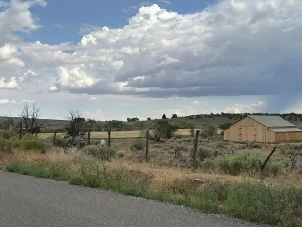 Picture 7