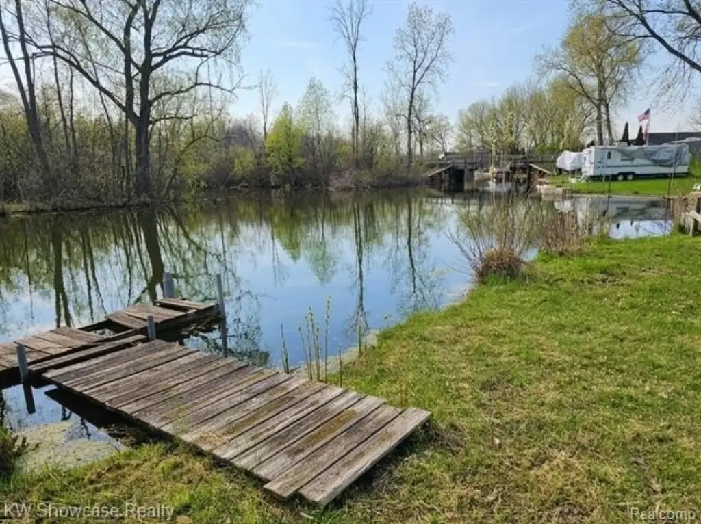 Picture 8