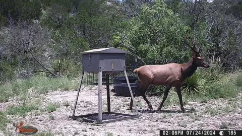 Texas Hill Country Hunting Ranch