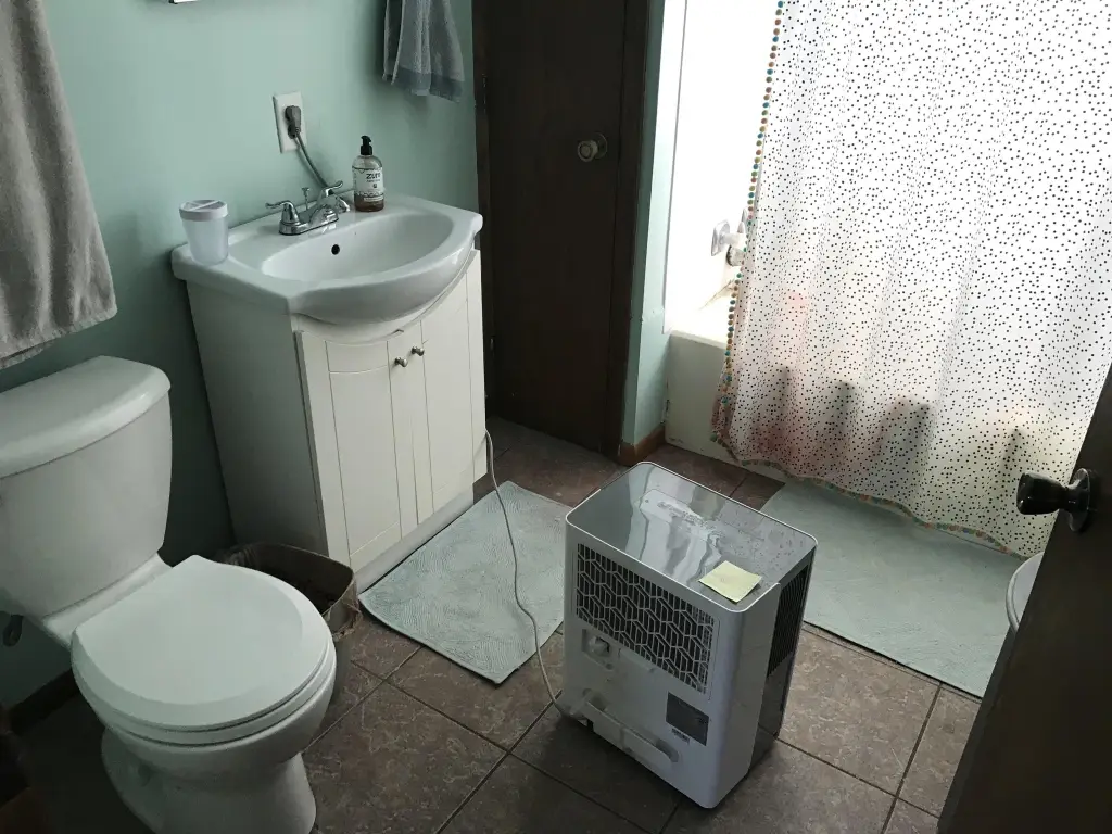 Picture 7