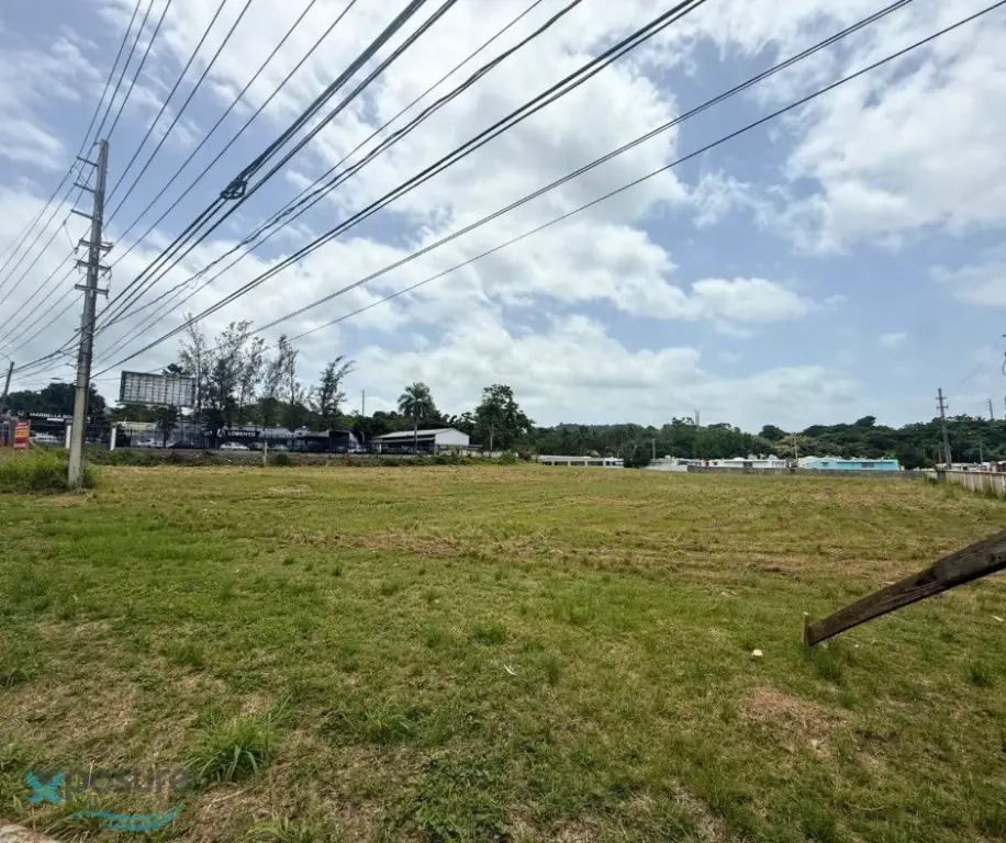Picture 18