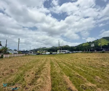 Flat Commercial Land