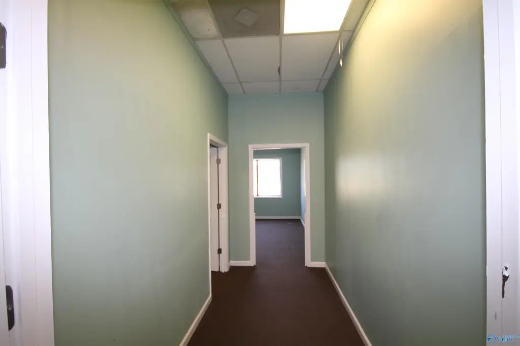 Picture 21