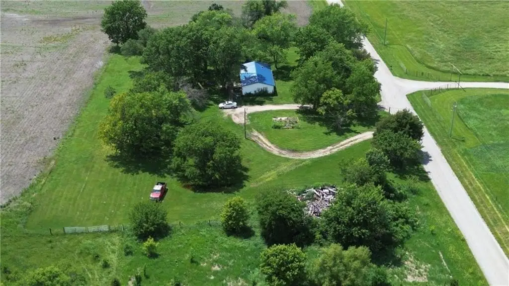 Picture 6