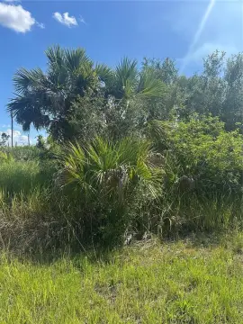 Residential Lot in Booming North Port