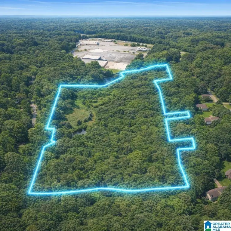 1920 Forestdale Blvd,Unit lot Use For New Constuction, Forestdale, AL 35214