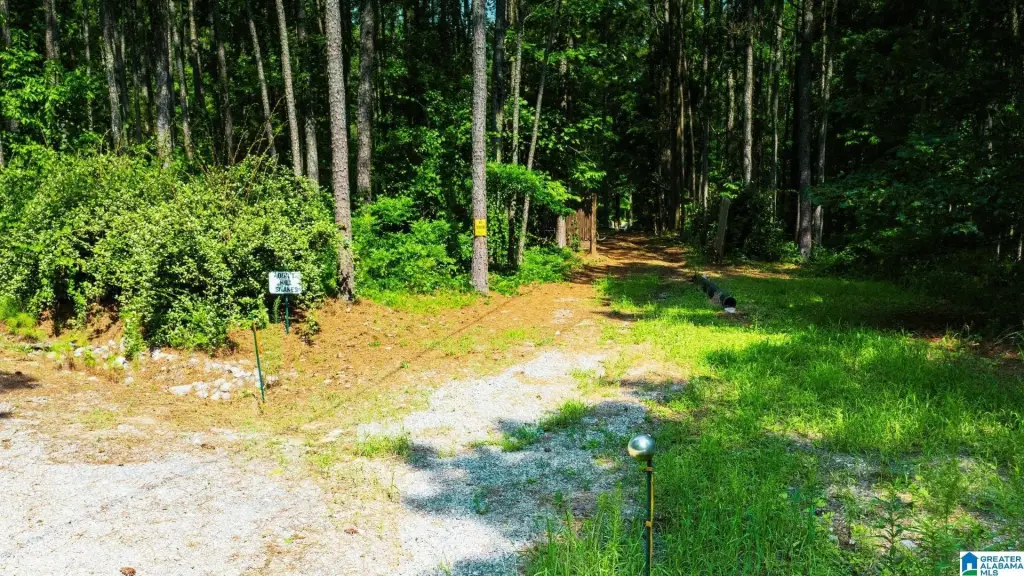 Picture 21