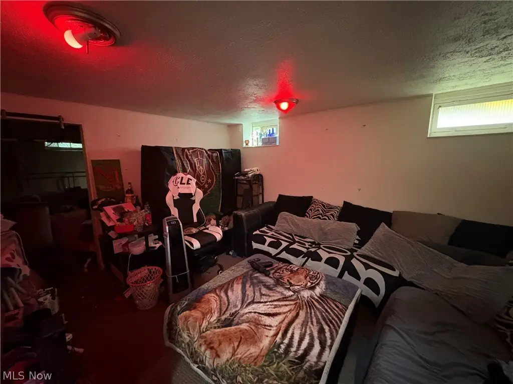 Picture 16