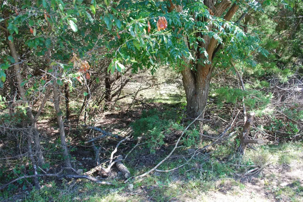 Picture 3