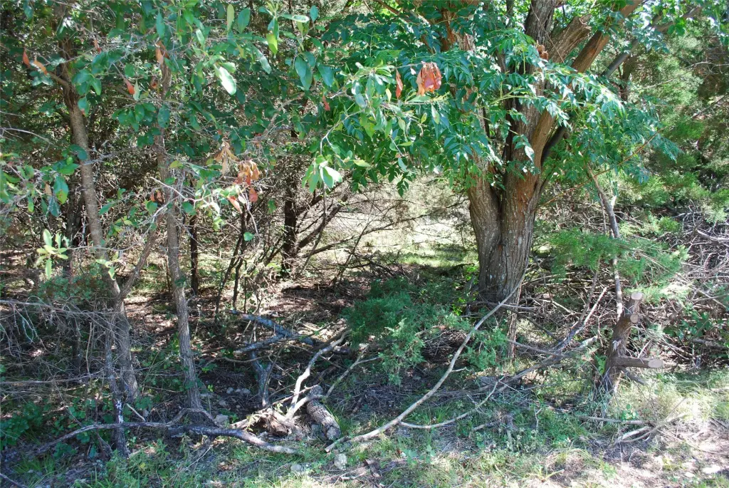 Picture 2