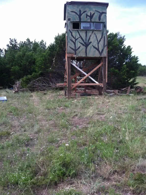 Picture 14