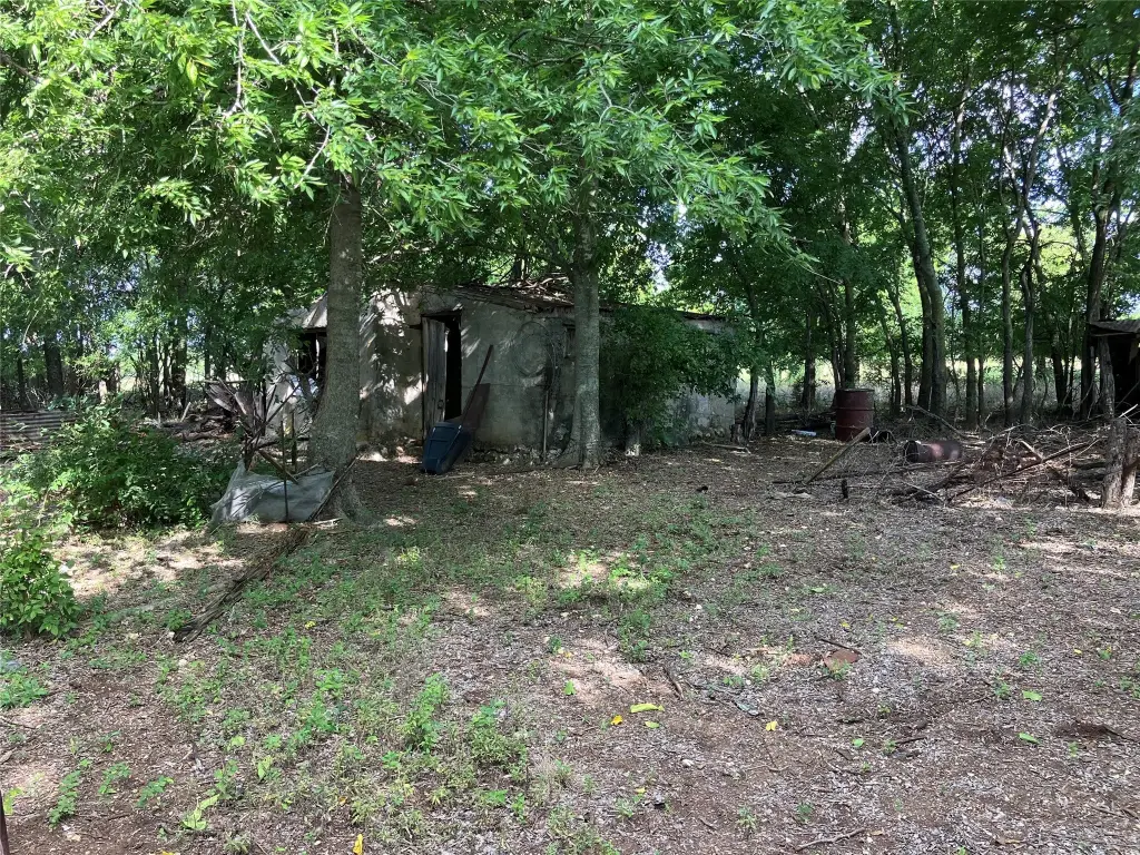 Picture 27