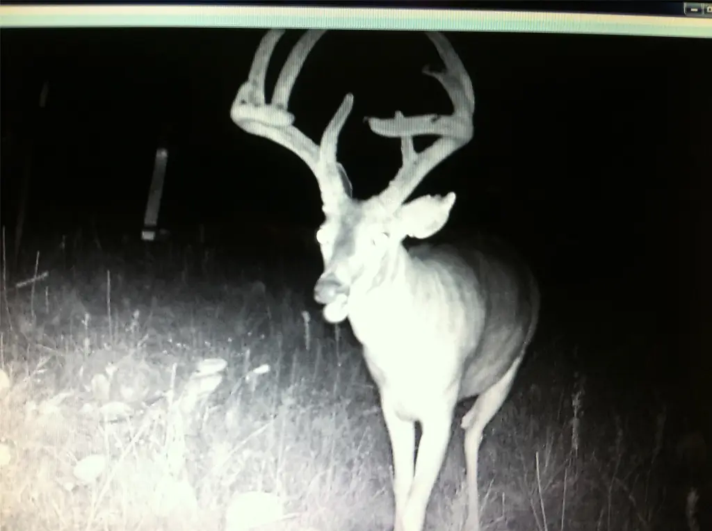 Picture 16