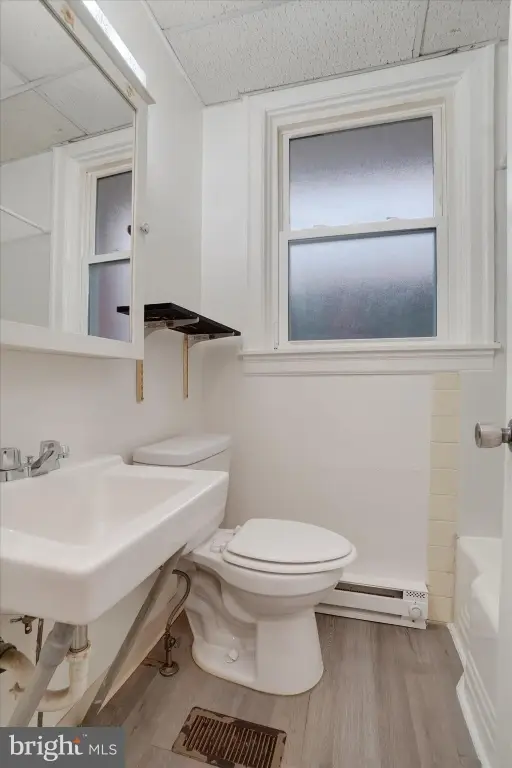Picture 11