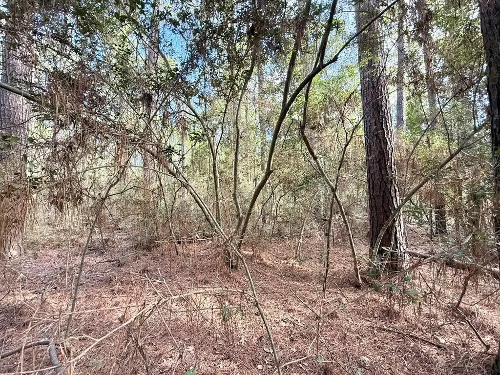 Picture 9